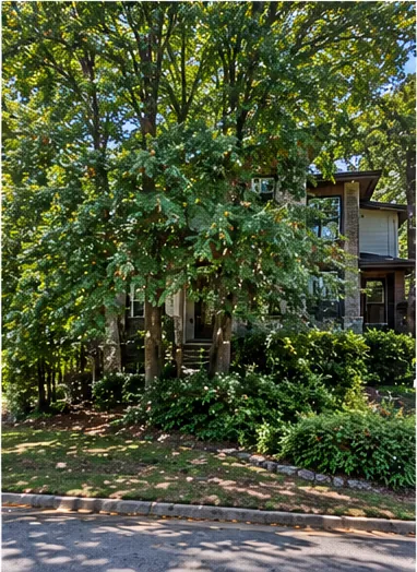 Before: modern home overtaken by trees and brush